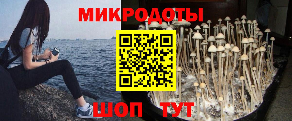 Галлюциногенные грибы Psilocybe  Вход с VPN  цена наркотик  Усинск 